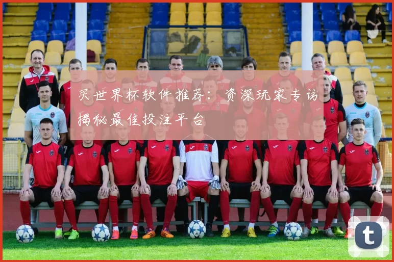 买世界杯软件推荐：资深玩家专访揭秘最佳投注平台
