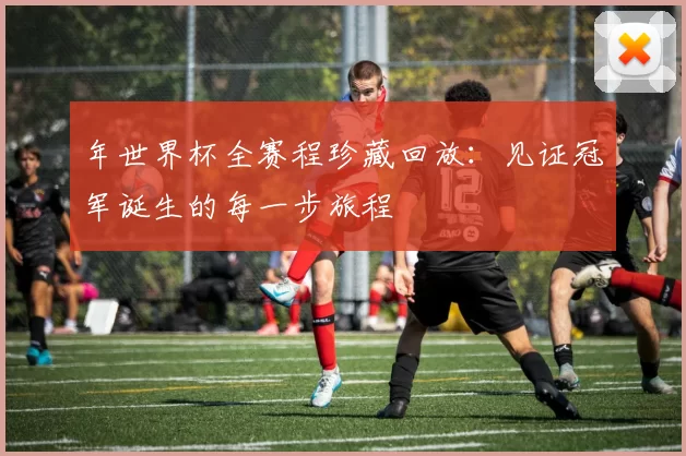年世界杯全赛程珍藏回放：见证冠军诞生的每一步旅程