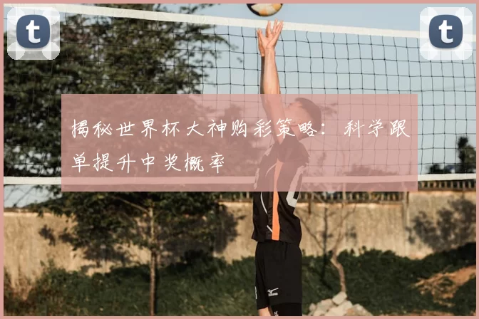 揭秘世界杯大神购彩策略：科学跟单提升中奖概率