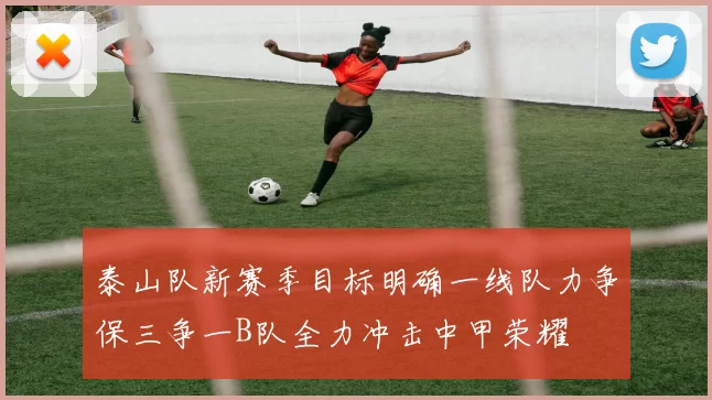 泰山队新赛季目标明确一线队力争保三争一B队全力冲击中甲荣耀
