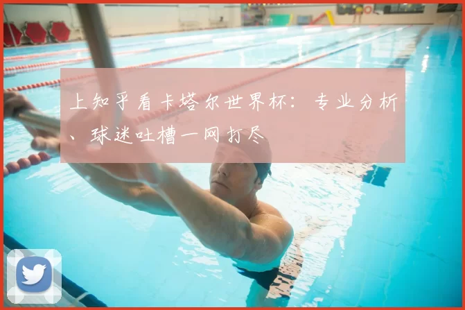 上知乎看卡塔尔世界杯：专业分析、球迷吐槽一网打尽