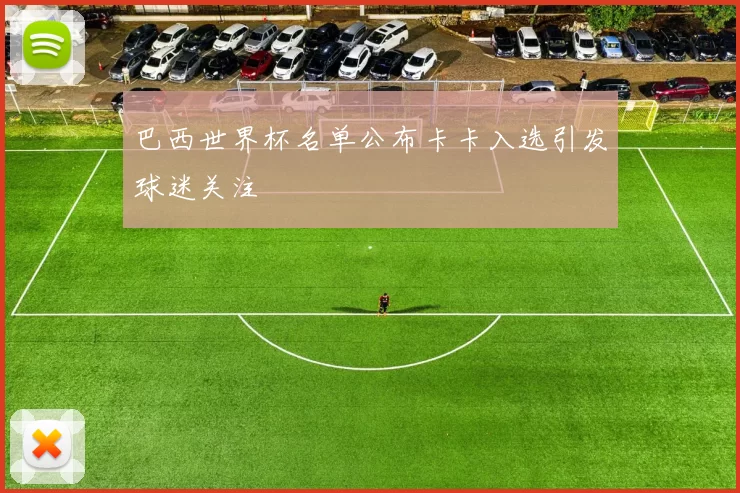巴西世界杯名单公布卡卡入选引发球迷关注