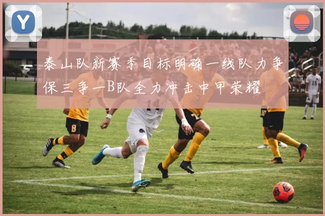 泰山队新赛季目标明确一线队力争保三争一B队全力冲击中甲荣耀