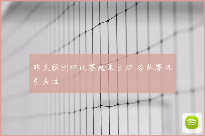 昨天欧洲杯比赛结果出炉 各队赛况引关注