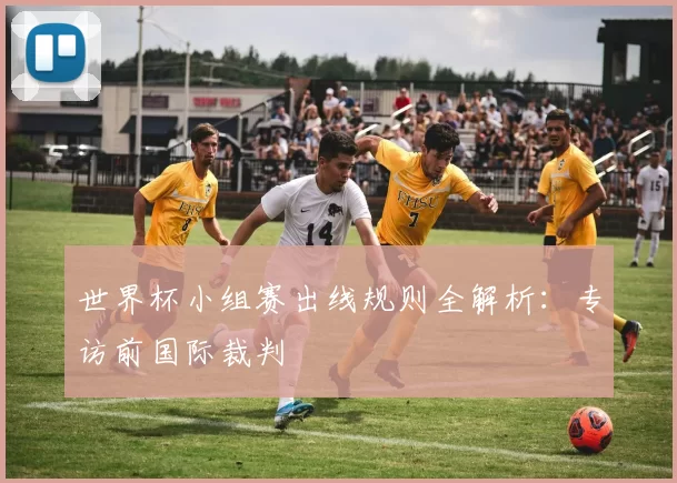 世界杯小组赛出线规则全解析：专访前国际裁判