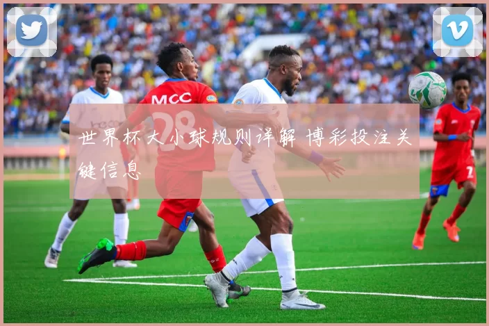 世界杯大小球规则详解 博彩投注关键信息